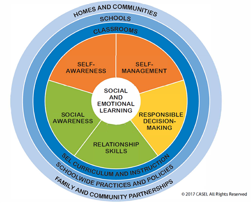 5 Competencies 